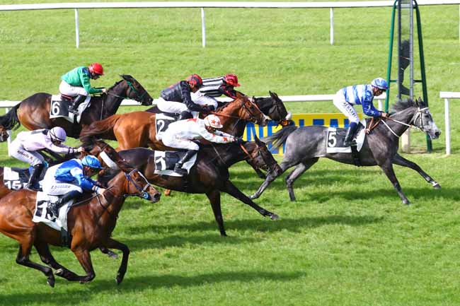 Photo d'arrivée de la course pmu PRIX DE LA FORET DES TROIS PIGNONS à FONTAINEBLEAU le Mercredi 29 mai 2019