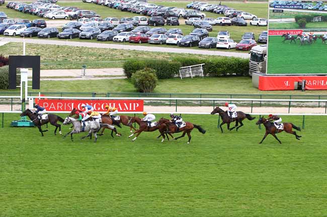 Photo d'arrivée de la course pmu PRIX DU PALAIS-ROYAL à LONGCHAMP le Jeudi 30 mai 2019
