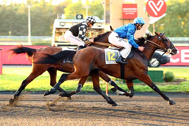 Photo d'arrivée de la course pmu PRIX LAVATER à PARIS-VINCENNES le Vendredi 31 mai 2019