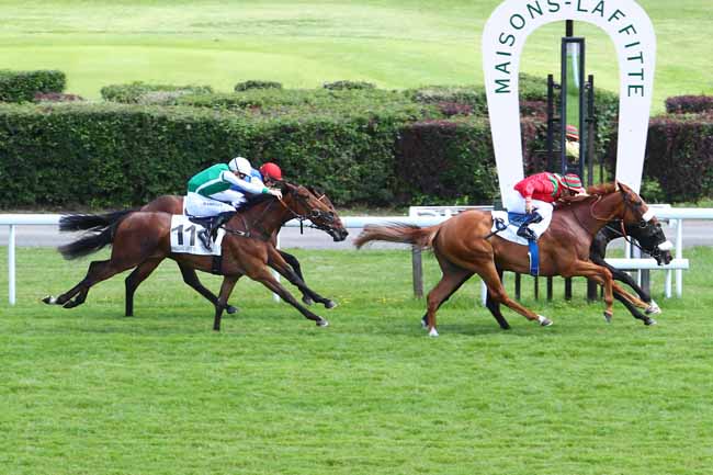 Photo d'arrivée de la course pmu PRIX MEMORANDUM à MAISONS-LAFFITTE le Vendredi 31 mai 2019