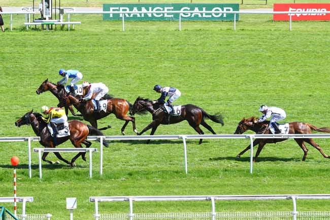 Photo d'arrivée de la course pmu PRIX LA FLECHE à MAISONS-LAFFITTE le Vendredi 31 mai 2019