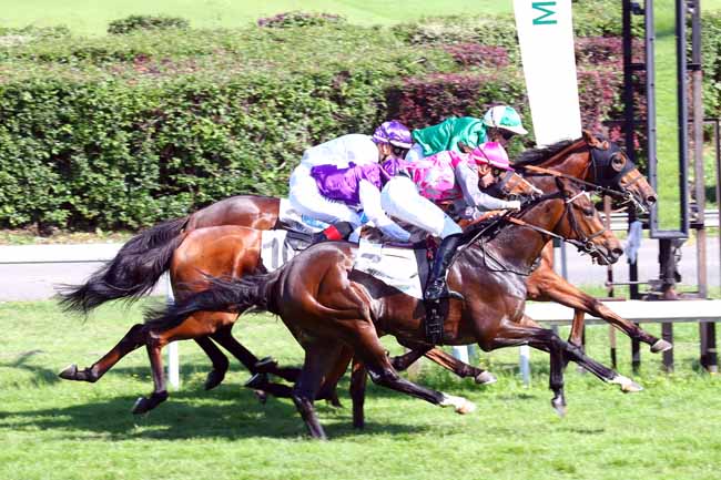 Photo d'arrivée de la course pmu PRIX DE LA PLACE COLBERT à MAISONS-LAFFITTE le Vendredi 31 mai 2019