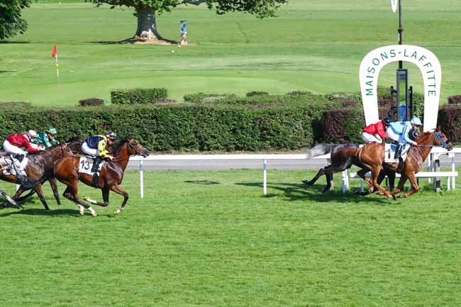 Photo d'arrivée de la course pmu PRIX MY LOVE à MAISONS-LAFFITTE le Vendredi 31 mai 2019