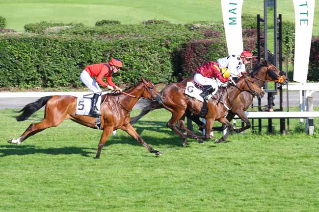 Photo d'arrivée de la course pmu PRIX DE LA PLACE MONTAIGNE à MAISONS-LAFFITTE le Vendredi 31 mai 2019