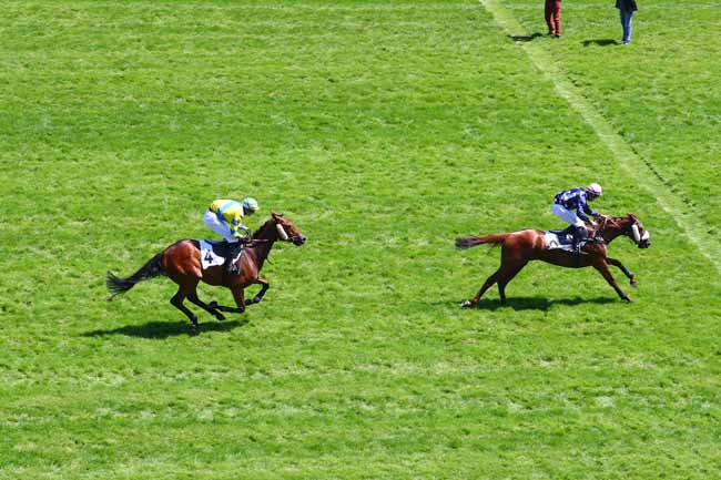 Photo d'arrivée de la course pmu PRIX GOPAL à AUTEUIL le Samedi 1 juin 2019