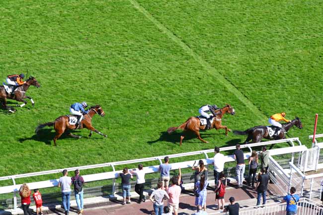 Photo d'arrivée de la course pmu PRIX TRINIDAD à AUTEUIL le Samedi 1 juin 2019
