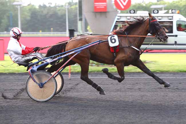 Photo d'arrivée de la course pmu PRIX SAPIENTIA à PARIS-VINCENNES le Mardi 4 juin 2019