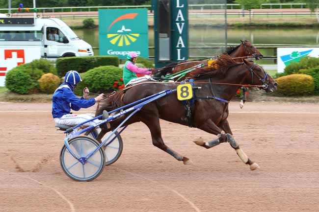 Photo d'arrivée de la course pmu PRIX BARON GUY DE MEYNARD à LAVAL le Mercredi 5 juin 2019