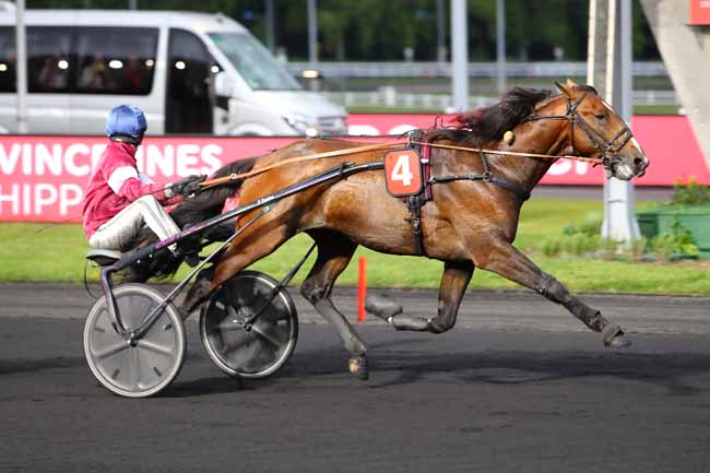 Photo d'arrivée de la course pmu PRIX DE GIEN à PARIS-VINCENNES le Vendredi 7 juin 2019