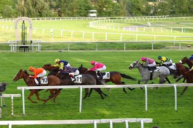 Photo d'arrivée de la course pmu PRIX DE LA FETE DE LA LAVANDE à MAISONS-LAFFITTE le Samedi 8 juin 2019