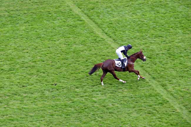 Photo d'arrivée de la course pmu PRIX GACKO à AUTEUIL le Dimanche 9 juin 2019