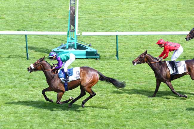 Photo d'arrivée de la course pmu PRIX DE TREVISE à LONGCHAMP le Lundi 10 juin 2019