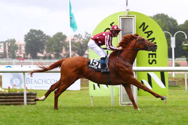 Photo d'arrivée de la course pmu GRAND PRIX SYNERGIE à NANTES le Mardi 11 juin 2019