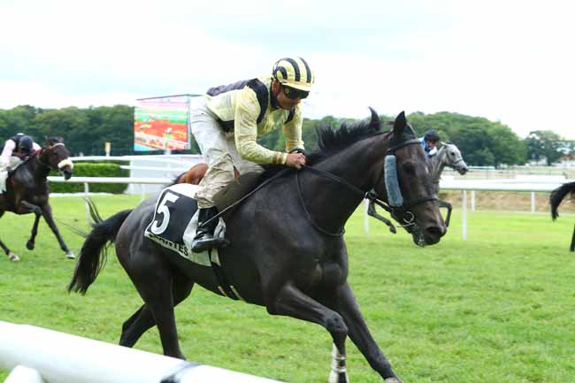 Photo d'arrivée de la course pmu PRIX TROU AUX BICHES BEACHCOMBER GOLF RESORT & SPA à NANTES le Mardi 11 juin 2019