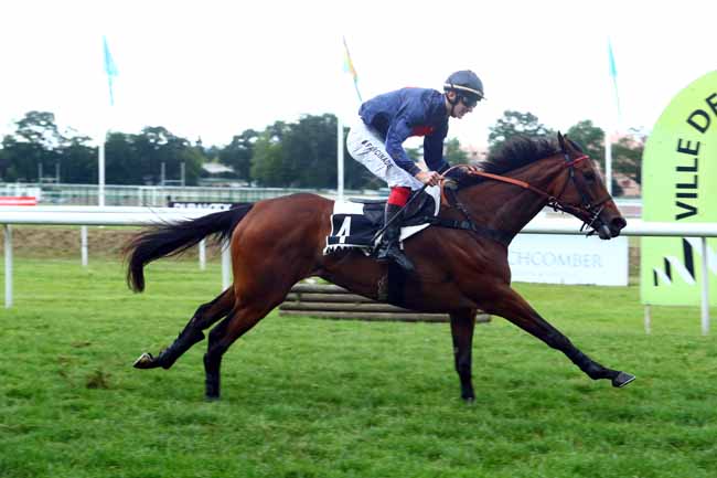 Photo d'arrivée de la course pmu PRIX DINAROBIN BEACHCOMBER GOLF RESORT & SPA à NANTES le Mardi 11 juin 2019