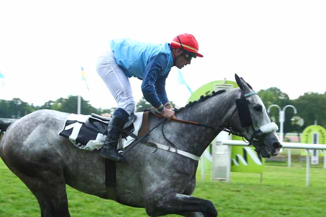 Photo d'arrivée de la course pmu PRIX ROYAL PALM BEACHCOMBER LUXURY à NANTES le Mardi 11 juin 2019