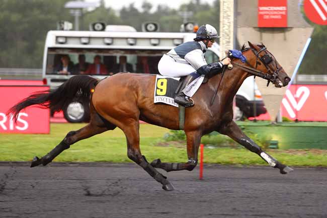 Photo d'arrivée de la course pmu PRIX JEAN-PAUL FAIRAND à PARIS-VINCENNES le Mardi 11 juin 2019