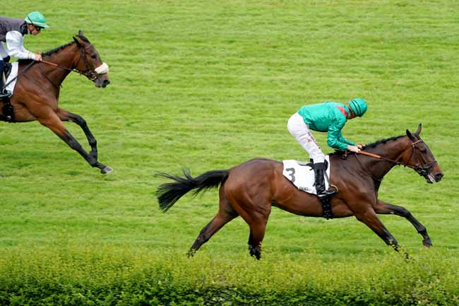 Photo d'arrivée de la course pmu PRIX HELISSIO à SAINT-CLOUD le Mercredi 12 juin 2019