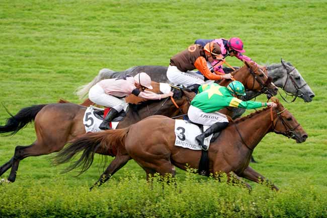 Photo d'arrivée de la course pmu PRIX DE MALMAISON à SAINT-CLOUD le Mercredi 12 juin 2019