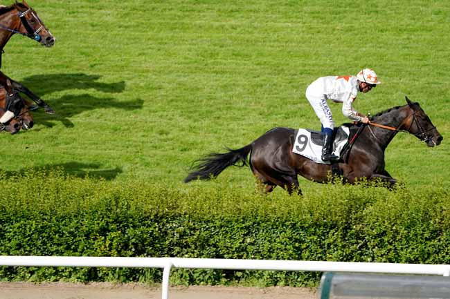 Photo d'arrivée de la course pmu PRIX PENICHE à SAINT-CLOUD le Mercredi 12 juin 2019