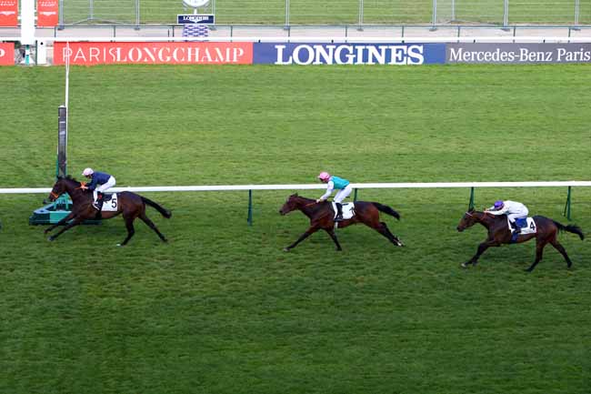 Photo d'arrivée de la course pmu PRIX DES VIGNES à LONGCHAMP le Jeudi 13 juin 2019