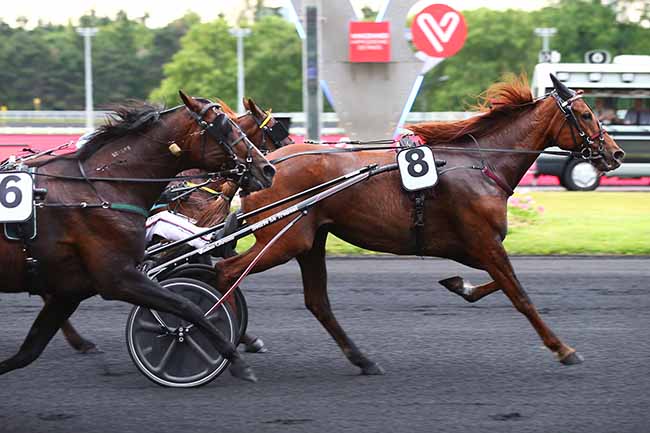 Photo d'arrivée de la course pmu PRIX DE LA SOIREE TROPICALE (PRIX EUDORA) à PARIS-VINCENNES le Vendredi 14 juin 2019