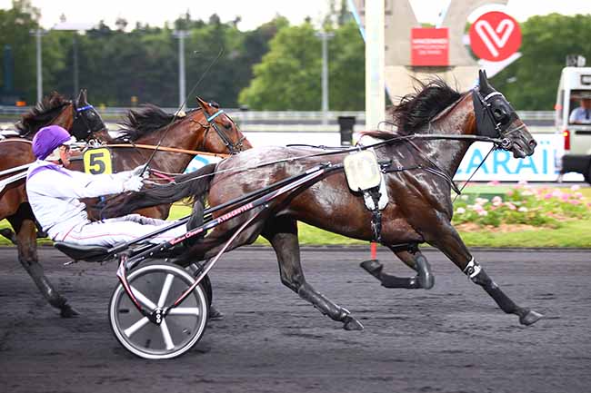 Photo d'arrivée de la course pmu PRIX CELUTA à PARIS-VINCENNES le Vendredi 14 juin 2019
