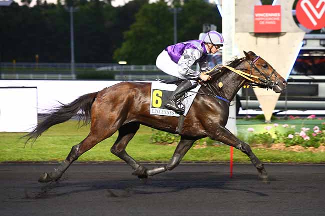 Photo d'arrivée de la course pmu PRIX LOMIA à PARIS-VINCENNES le Vendredi 14 juin 2019
