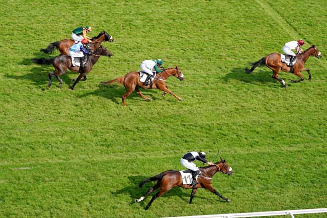 Photo d'arrivée de la course pmu PRIX DE ROYAN à AUTEUIL le Vendredi 14 juin 2019