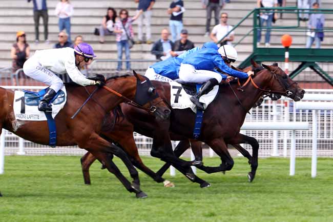 Photo d'arrivée de la course pmu PRIX PRUDENT à MAISONS-LAFFITTE le Samedi 15 juin 2019