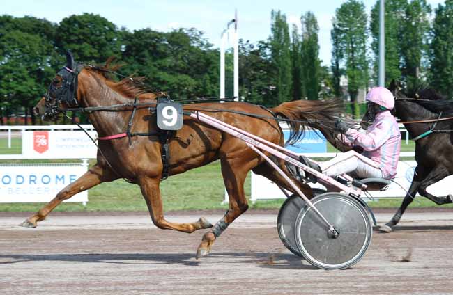 Photo d'arrivée de la course pmu PRIX DES PARCS D'ALLIER à VICHY le Lundi 17 juin 2019