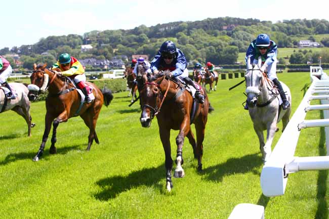 Photo d'arrivée de la course pmu PRIX BELLE ISLE à CLAIREFONTAINE le Lundi 17 juin 2019