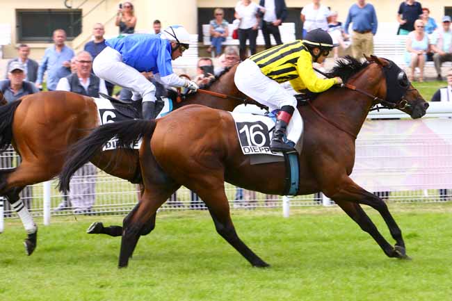 Photo d'arrivée de la course pmu PRIX DJSL BOIS à DIEPPE le Mardi 18 juin 2019