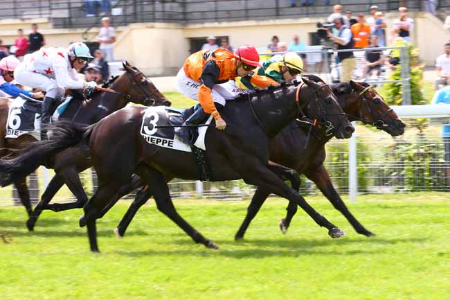 Photo d'arrivée de la course pmu PRIX DE LA REGION NORMANDIE à DIEPPE le Mardi 18 juin 2019