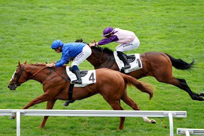 Photo d'arrivée de la course pmu PRIX PRINCE BIO à MAISONS-LAFFITTE le Mercredi 19 juin 2019