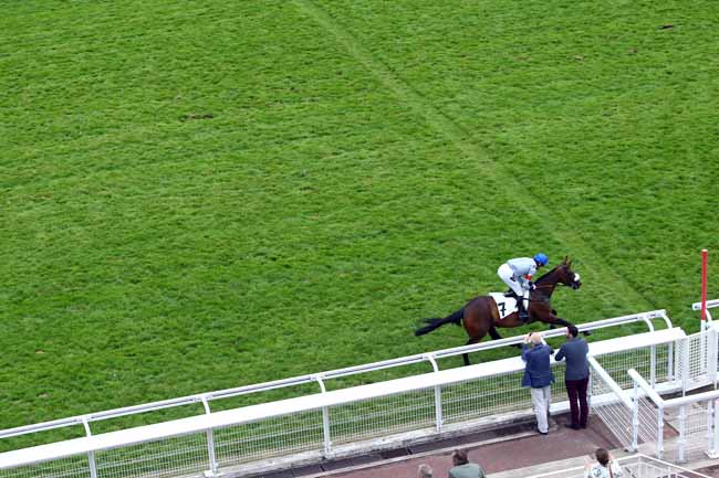 Photo d'arrivée de la course pmu PRIX CHRISTIAN DE TREDERN à AUTEUIL le Jeudi 20 juin 2019
