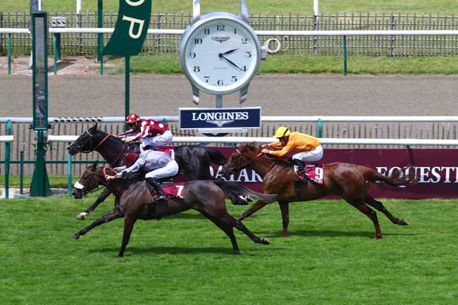 Photo d'arrivée de la course pmu QATAR COUPE DE FRANCE DES CHEVAUX ARABES à CHANTILLY le Vendredi 21 juin 2019