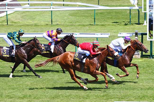 Photo d'arrivée de la course pmu PRIX DE LA FORET DE LAIGUE à COMPIEGNE le Samedi 22 juin 2019