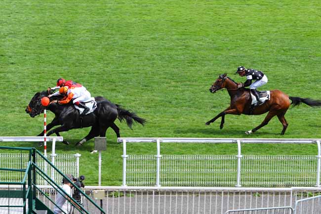 Photo d'arrivée de la course pmu PRIX HAMPTON à MAISONS-LAFFITTE le Lundi 24 juin 2019
