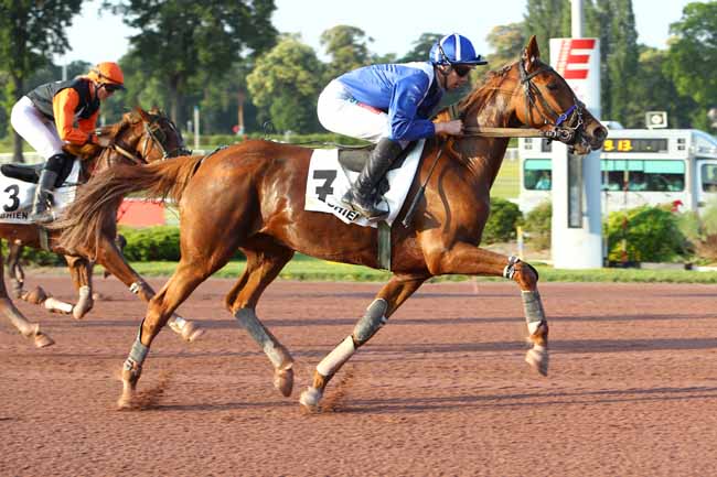 Photo d'arrivée de la course pmu PRIX DE LA PLACE VENDOME à ENGHIEN le Mercredi 26 juin 2019