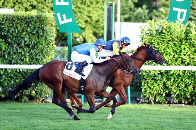 Photo d'arrivée de la course pmu CONNOLLY'S REDMILLS PRIX DU BOIS à CHANTILLY le Samedi 29 juin 2019