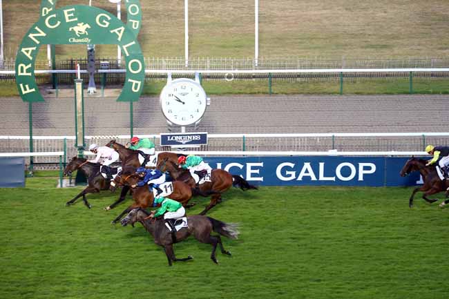 Photo d'arrivée de la course pmu PRIX DE LA ROUTE DE LA MALASSISE à CHANTILLY le Samedi 29 juin 2019