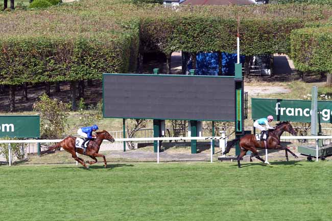 Photo d'arrivée de la course pmu PRIX EUGENE ADAM à SAINT-CLOUD le Dimanche 30 juin 2019