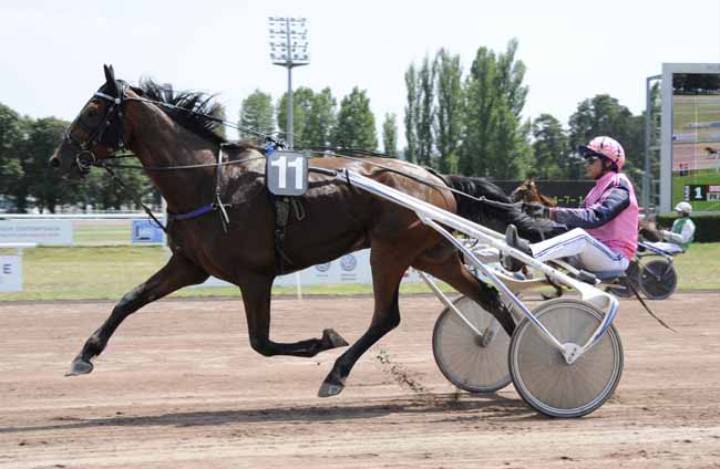 Photo d'arrivée de la course pmu PRIX JEAN-MICHEL BAZIRE à VICHY le Mardi 2 juillet 2019