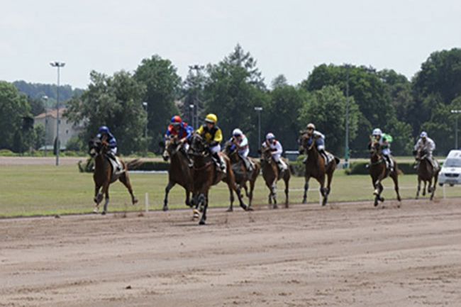 Photo d'arrivée de la course pmu PRIX DE L'INDRE à VICHY le Mardi 2 juillet 2019