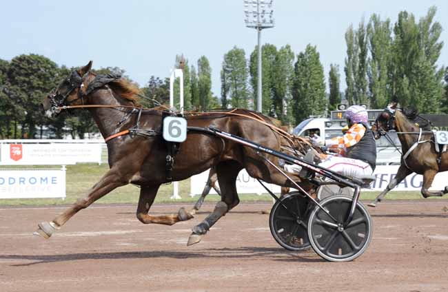 Photo d'arrivée de la course pmu PRIX ULYSSE à VICHY le Mardi 2 juillet 2019