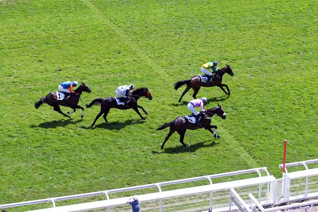 Photo d'arrivée de la course pmu PRIX DE CHANTILLY à AUTEUIL le Mardi 2 juillet 2019