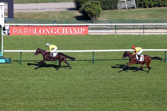 Photo d'arrivée de la course pmu PRIX DU JARDIN ALPIN à LONGCHAMP le Jeudi 4 juillet 2019