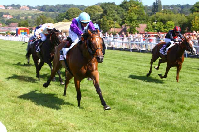 Photo d'arrivée de la course pmu PRIX MENUISERIE JEANNE à CLAIREFONTAINE le Samedi 6 juillet 2019