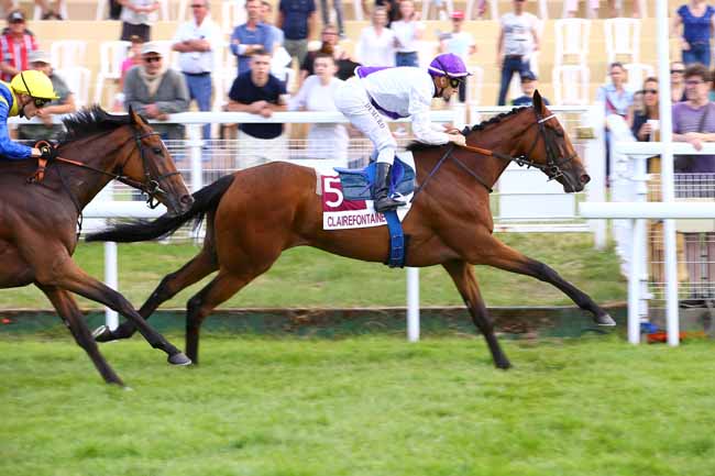 Photo d'arrivée de la course pmu PRIX VILLE DE TROUVILLE-SUR-MER à CLAIREFONTAINE le Samedi 6 juillet 2019
